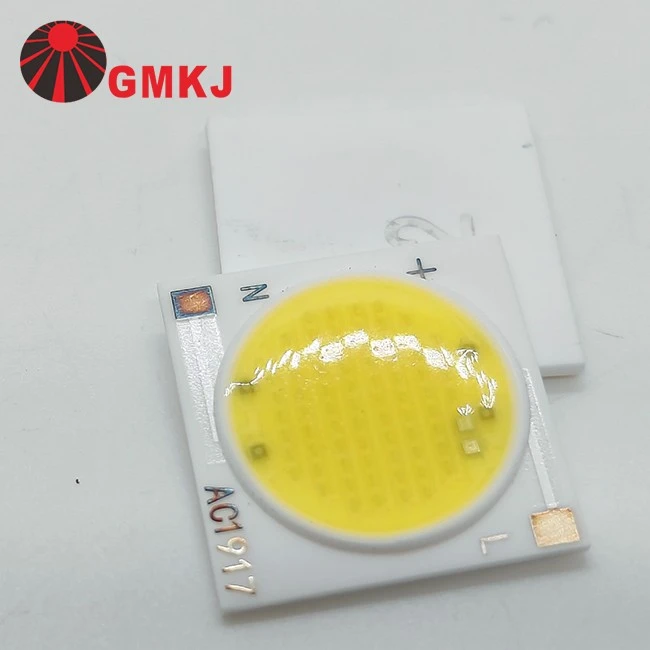 1919 220vac cob leds-4